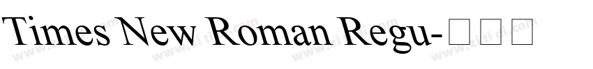 Times New Roman Regu字体转换